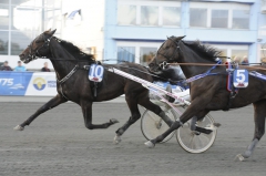 Maharajahsonen Makethemark efter karriärens första seger. Foto; ALN